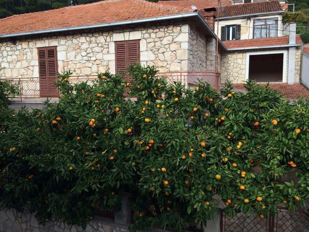 Holiday House With A Parking Space Svirce, Hvar - 17682 Vrbanj Luaran gambar